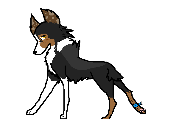 ambern.PNG