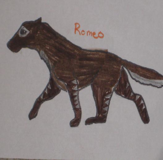 remoe.JPG