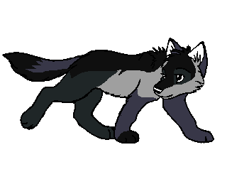 fsiw.PNG