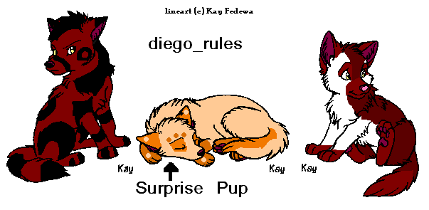diego_rules.png