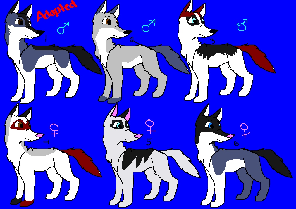 2nd litter joss and ripple.PNG