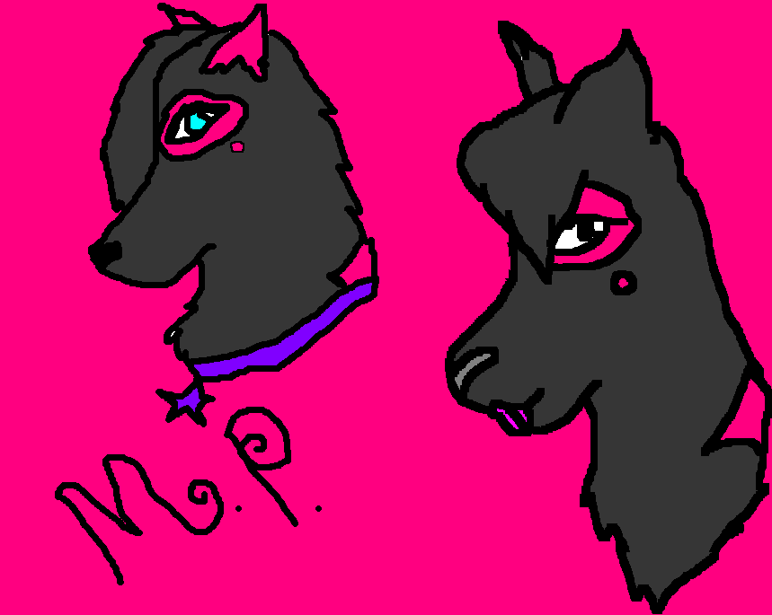 mp.PNG