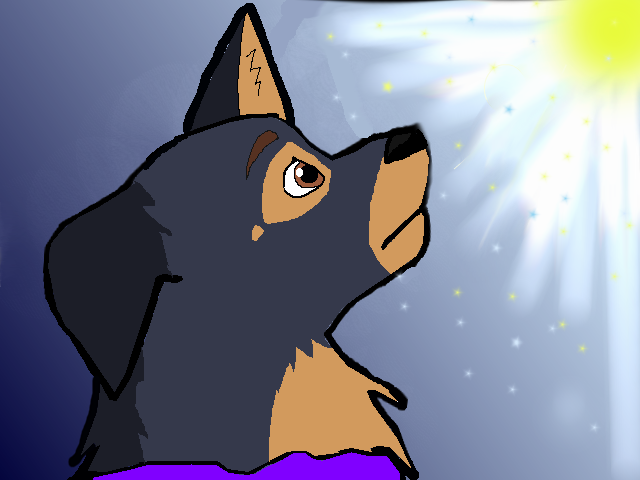 yamey.png