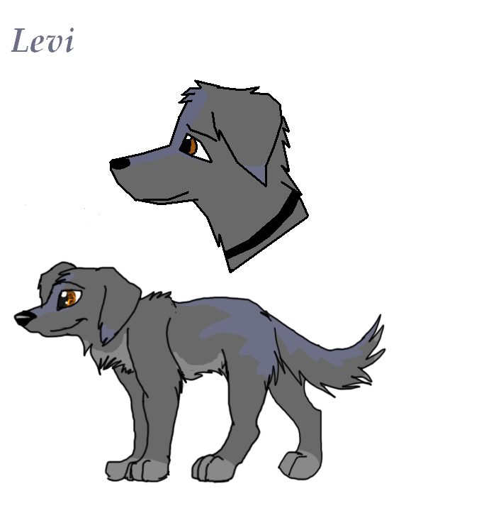 Levi.PNG