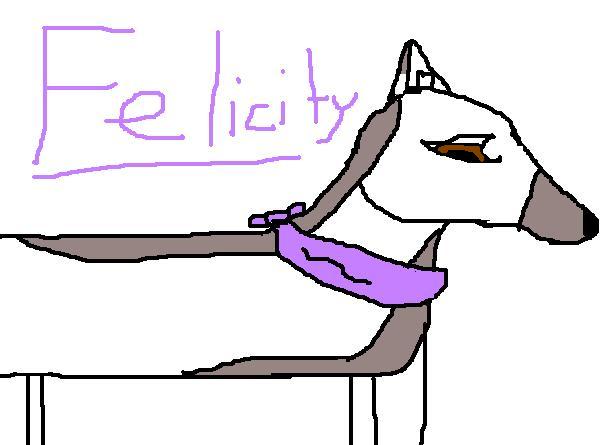 fse.jpg