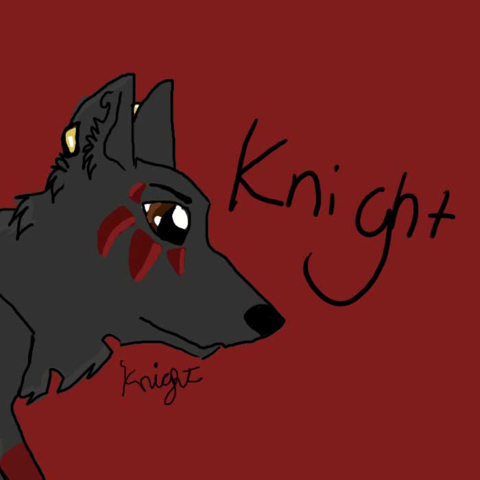 knight!.jpg