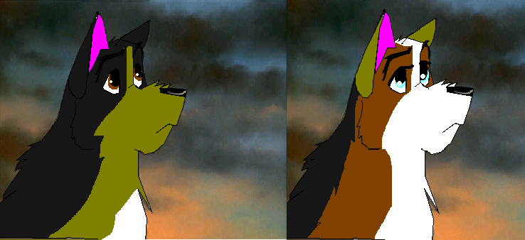 cute dogs.PNG
