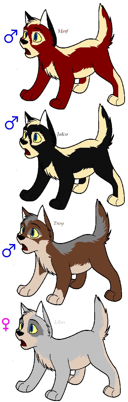 un pup.JPG