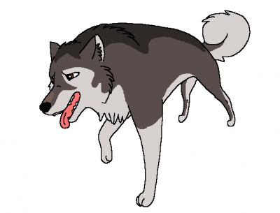 Emi_222.PNG