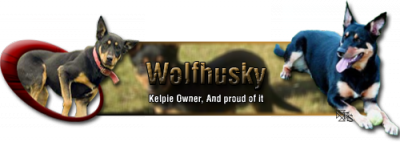 wolfhuskysiggy.png