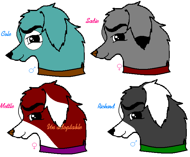 Cole, Sadie, Mettle, and Richard.PNG