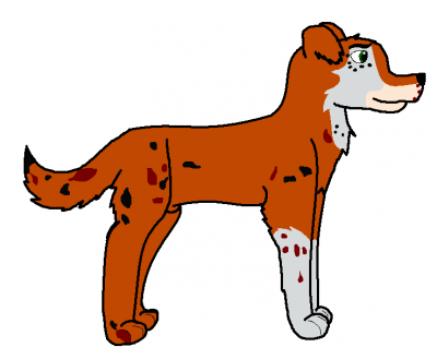 gen.PNG