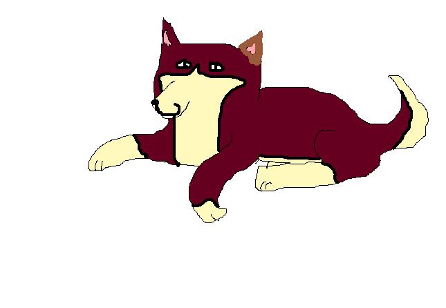 Timothy.jpg