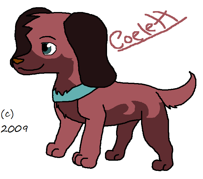 2nd litter sisters.png