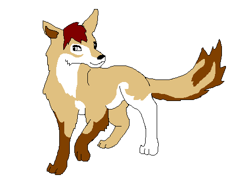 awolf.GIF