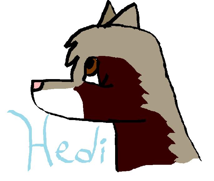 hedi1.jpg