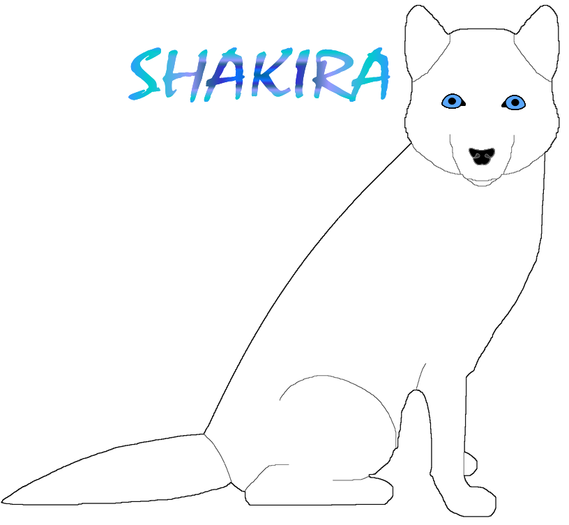 Shakira.png