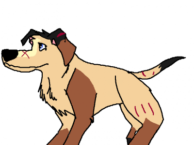 aya.png