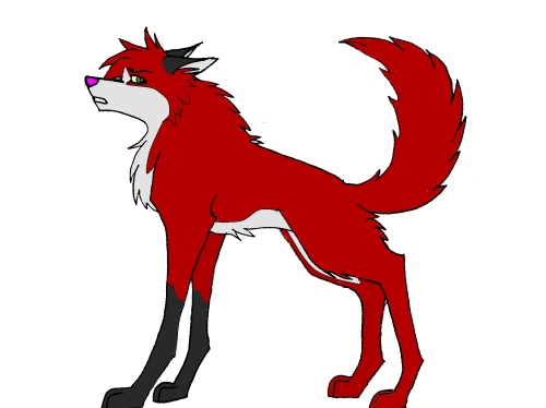 Rika side view.jpg