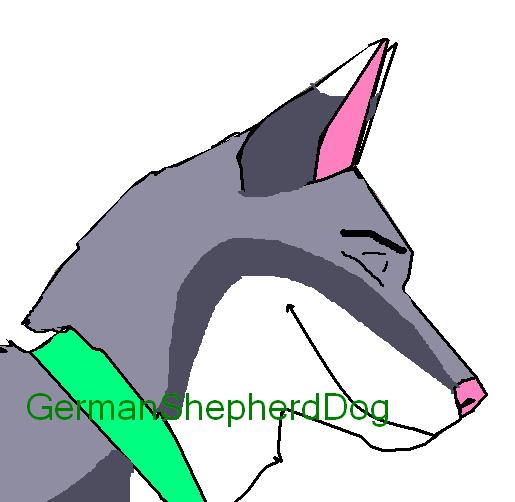 adoption3.JPG