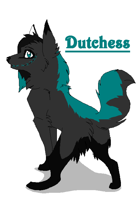 dutchess.PNG