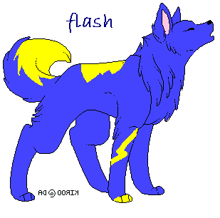 flash.PNG