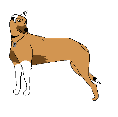 Adoption Entry.PNG