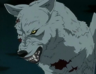 kiba angry.jpg