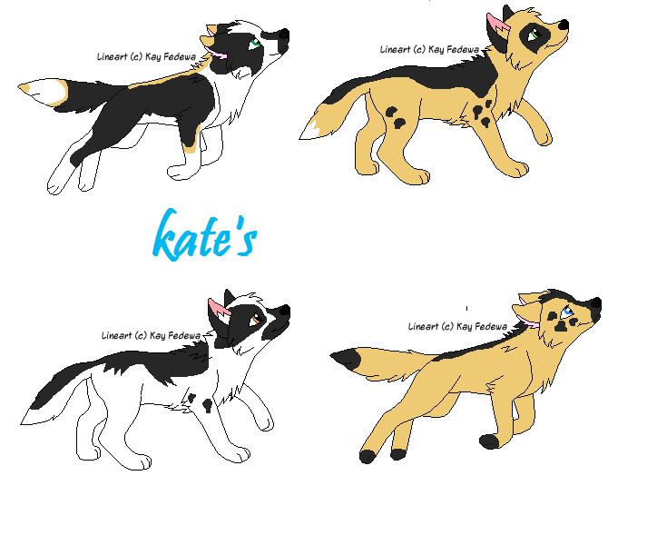 kates.jpg