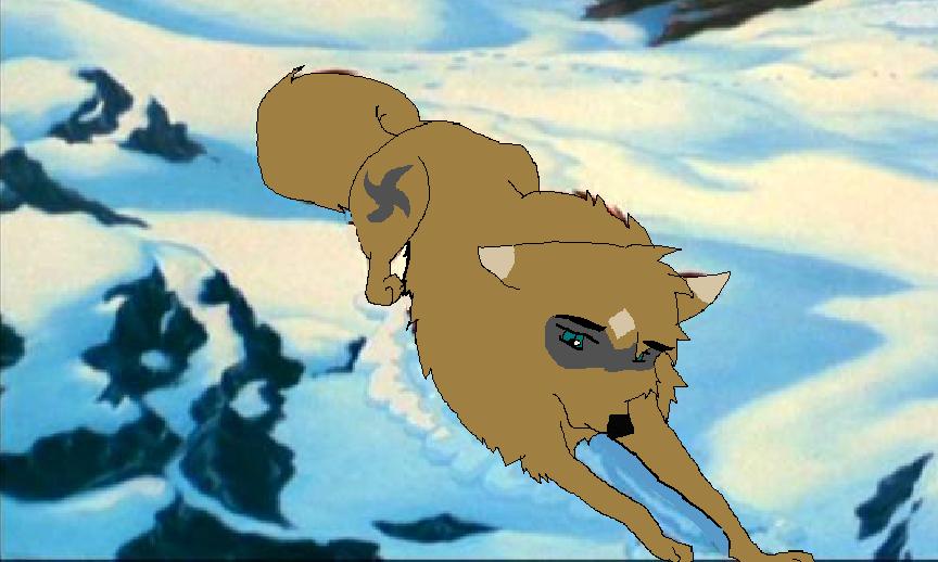 214.jpg