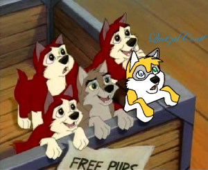 23.PNG