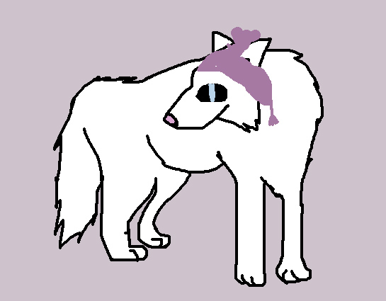 arcticwolf1 copy.jpg