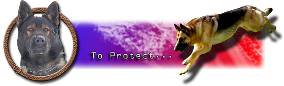 toprotectsig.png