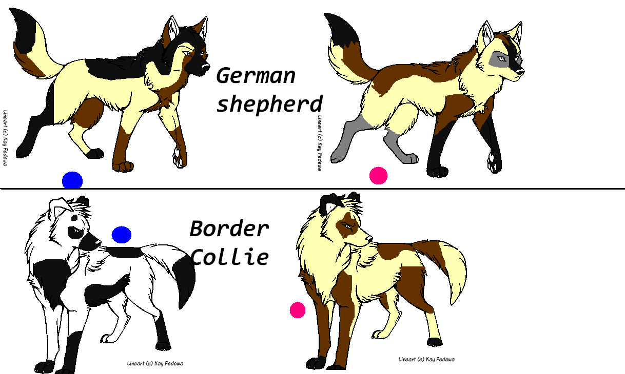breed2.PNG