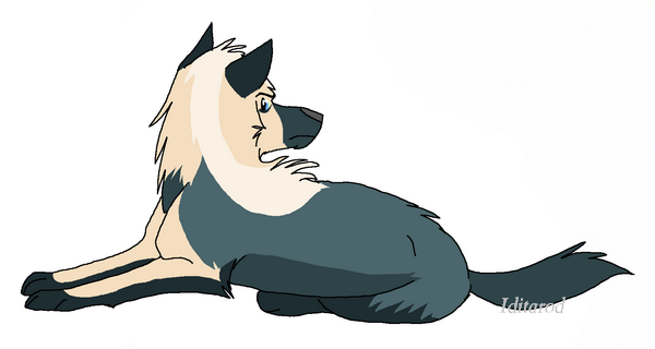 Copy of kolton's contest pup.PNG