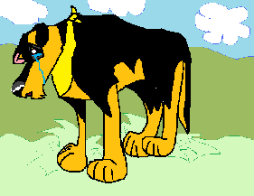 imausframe1bg.png