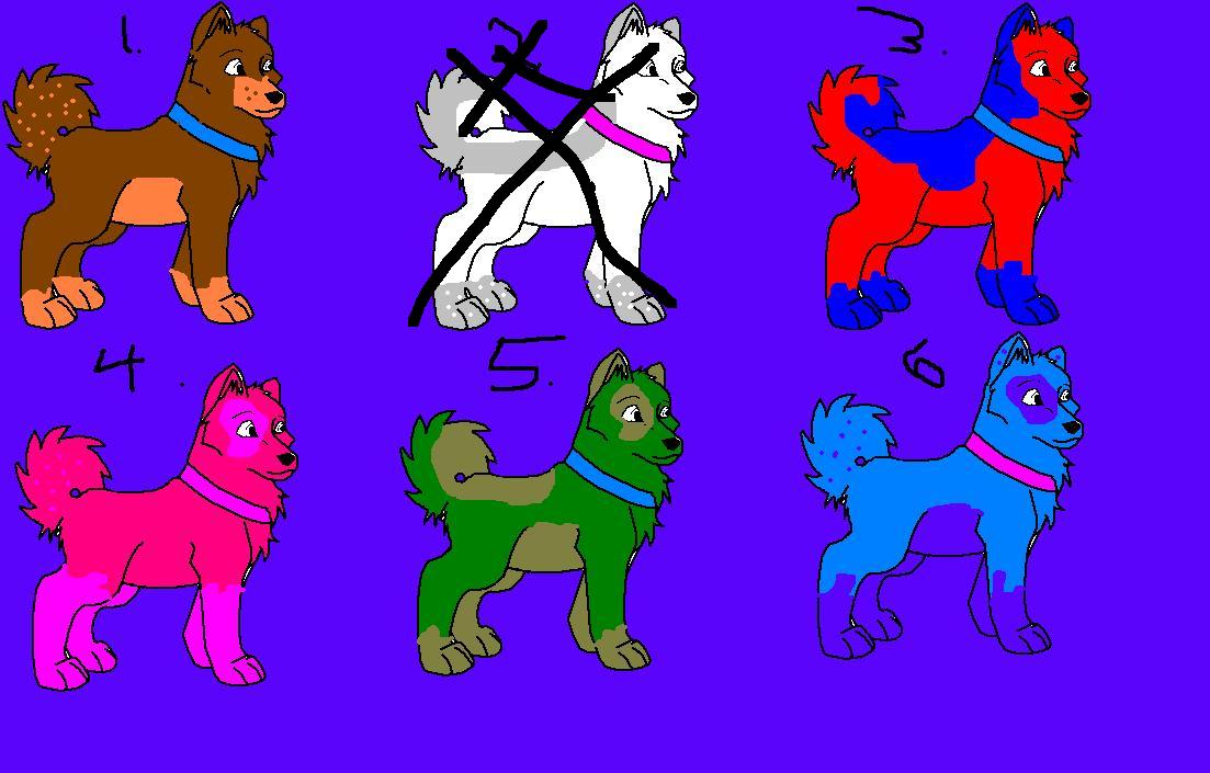 Colorfull dogs.JPG
