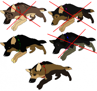 Timber's%20GSD%20batch.PNG