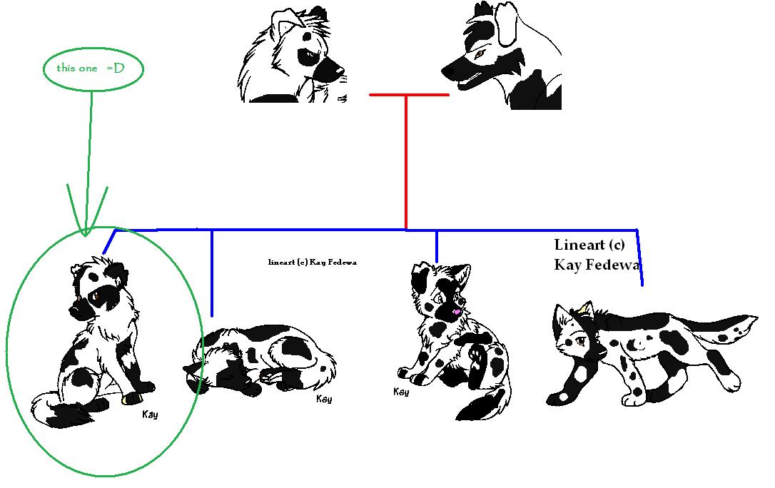ertqwretwr.jpg