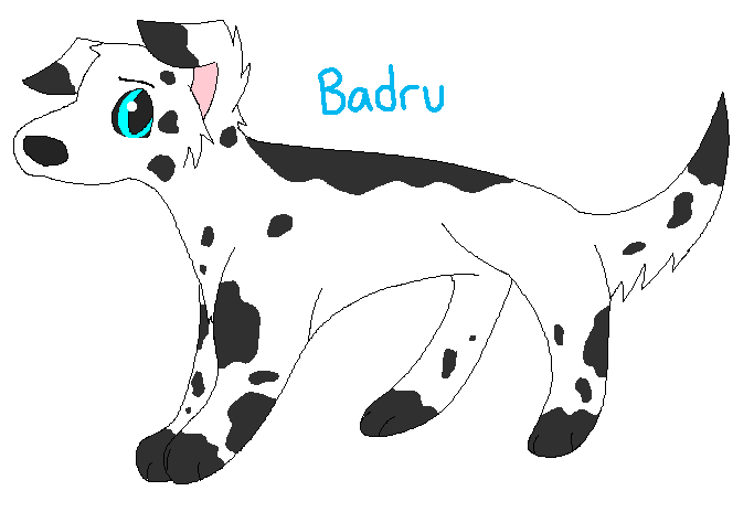 badru2.png