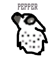 Pepper.jpg