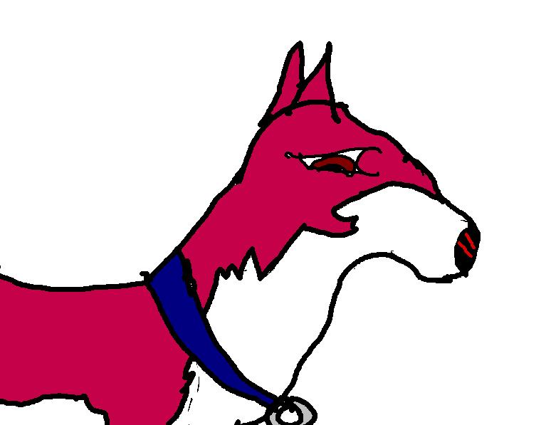 twiz.JPG