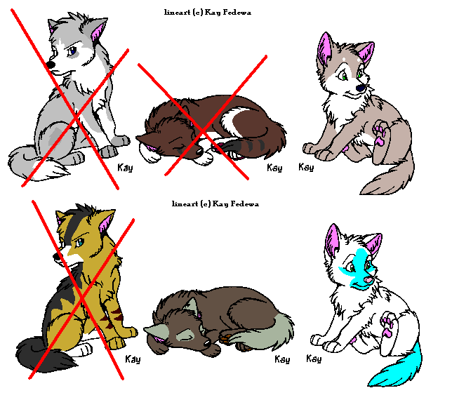 batch 5.PNG