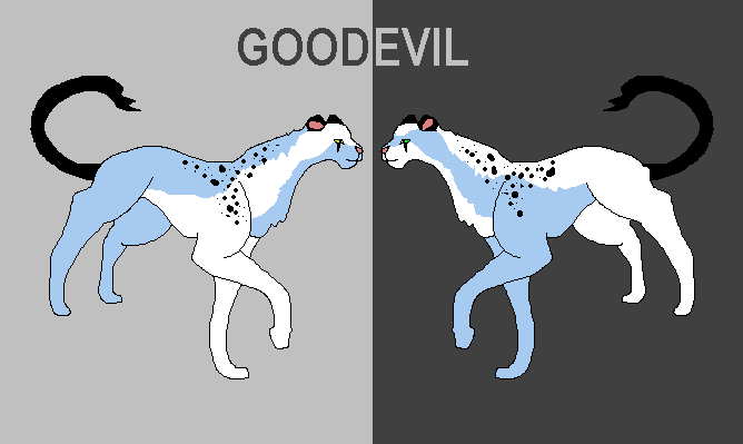 untitled.GIF