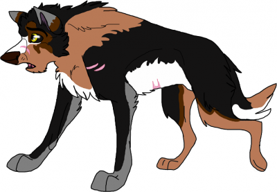 Kuruk 2013 Small.PNG