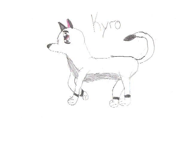 kyro.jpg