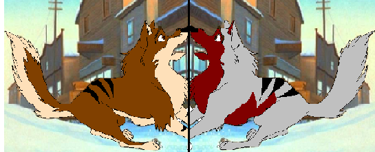 123.PNG