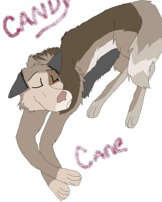 cccc.jpg