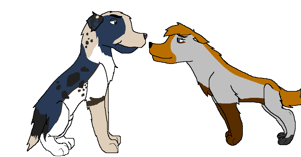 caj.PNG