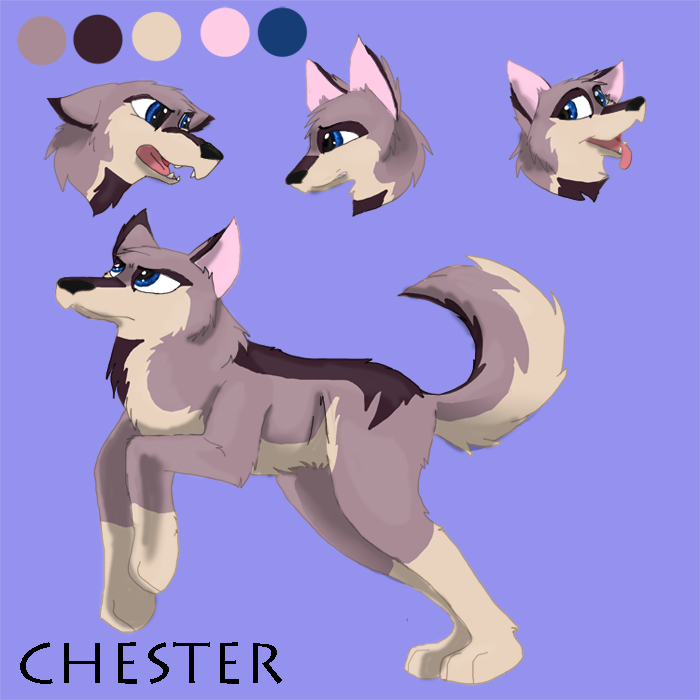 chester copy.jpg